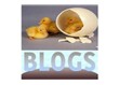Blogculuk geleceğin medyasını şekillendirecek