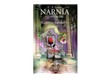 Narnia Günlükleri Gümüş Sandalye (6)