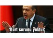 Başbakan Erdoğan'ın sıkıntısı, bir koltukta iki karpuz taşıma gayreti (Başkanlık ve PKK süreci)(2)