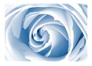 PROFESYONEL İKİYÜZLÜLÜK