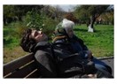 Pandora'nın Kutusu Filmi