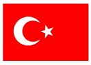Türk bayraklı mitingler veya bayrağa sığınanlar