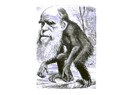 Darwin'i doğrulayan kanıtlar