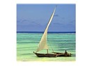Zanzibar gezi notları