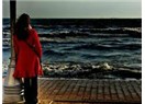 Süzme sözcükler 42: ( Haiku)
