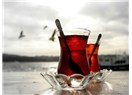 Sen ne dersen onu i�erim...