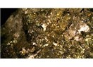 Denizli’nin Çal ilçesi Akkent (Zeyve) Kasabasında zengin altın madenleri bulundu…