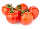 Enerji üretimi için bozuk domates