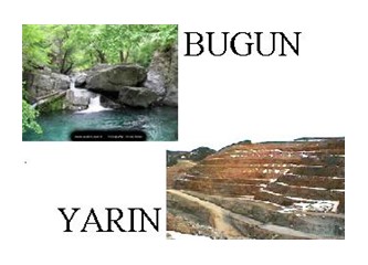 Kaz Dağları'nda altın bulundu!