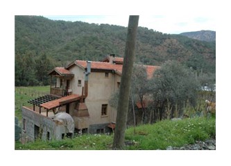Başka türlü bir tatil…