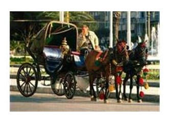 Ah İzmir!