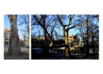 İstanbul'u dinliyorum gözlerim açık