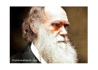Darwin Evrim kuramıyla hangi Tanrı anlayışını yıkıyor?