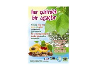 Yılın en çılgın projesi
