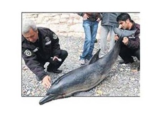 Yunus’ un göz yaşları