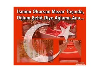 Oğlun şehit oldu annem...
