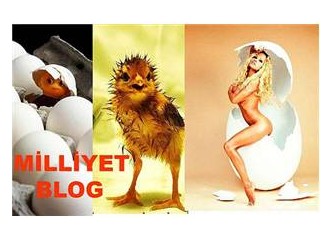 Blog aşkları, nefretleri ve güzellikleri