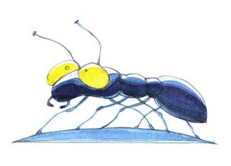 The sound of six-legged majesyt...