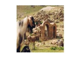 Gereme (Ayos Konstantinos ) Tarihine bir bakış 1