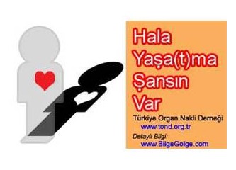 Bir gün sizin de başınıza gelebilir