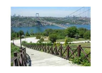 TEMA' ya davetlisiniz...