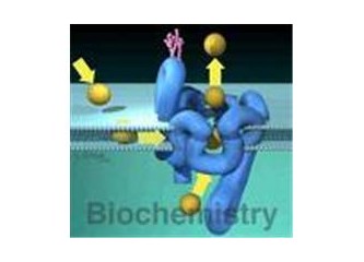 Biyokimya (Biochemistry) nasıl bir bölümdür? Bir biyokimyager ne iş yapar?