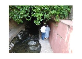 Neden yardım ettin ki sen bana?!!