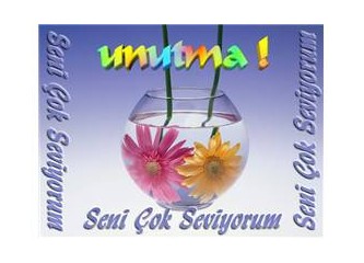 Sevgi