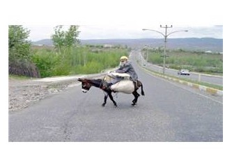 Fakirin atı katır, zenginin katırı at