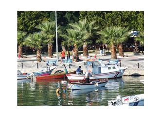 İnsan, yaşadığı yeri nasıl sever?