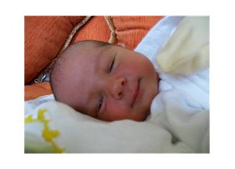 Deniz Bebek