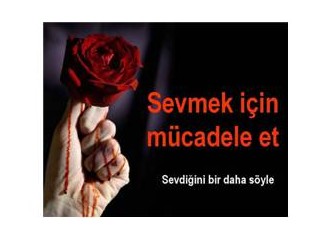 Şikayetim var sevgiden yana...