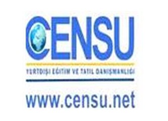 Hangi dil eğitimini seçmeliyim?