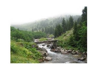 Elevit'ten Sal'a giderken