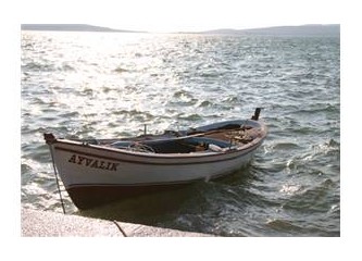 Tahta atınız hazır mı?