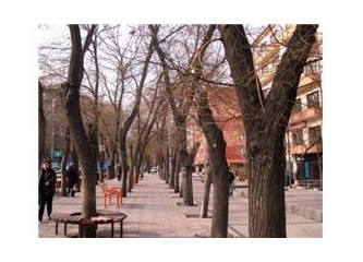 Taş Kaldırımlı Yaşam Alanları