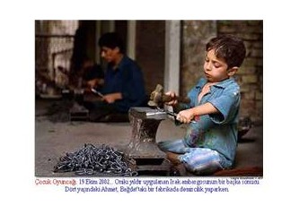 Bitkisel ilaçların zararları Bitkisel ilaçların zararları