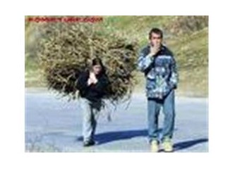 Toplumsal cinsiyet eşitliği mi?