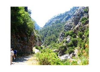 Doğada bir gün... Göynük Kanyonu