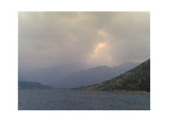 Yahudi kanı