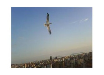 Türkiye' de kriz daha derin ve kronikdir.