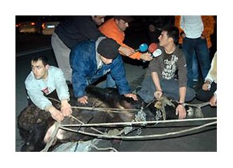 Küfür etse abdesti bozulacak