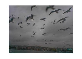 Deniz