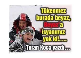 Kod Adı Beyaz