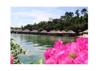 Kota kinabalu'da erotik masaj