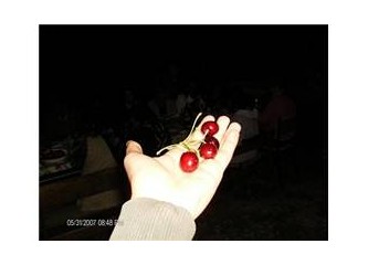 Aslında herşeyi bilirsin değil mi?