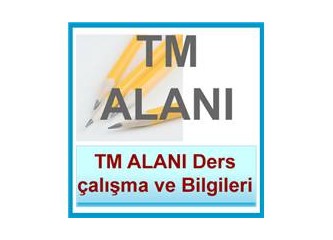 Eşit Ağırlık Alanı ve ders çalışma