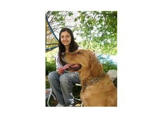Yavru bir köpeğin hatıratı