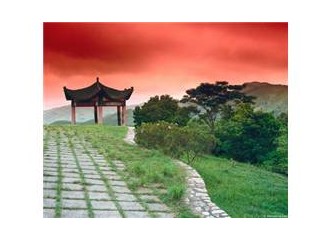 Haiku : 12