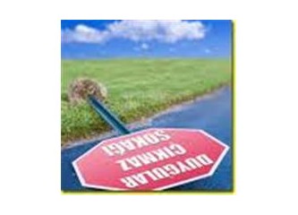 Güzel Olan Nedir?